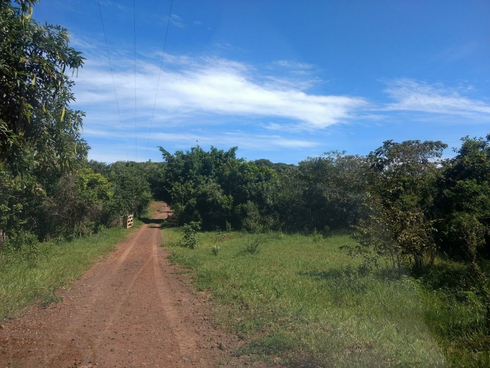 Imagem de compartilhamento para o artigo Confira como fica o tempo nesta quarta-feira em Chapadão do Sul e regiões da MS Todo dia